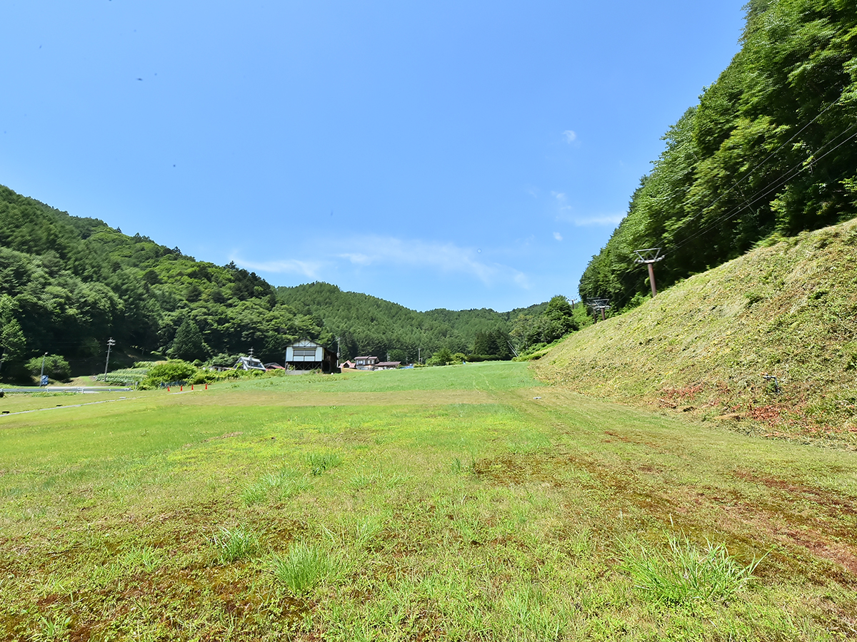 青空の下に広がる夏の緑のゲレンデ