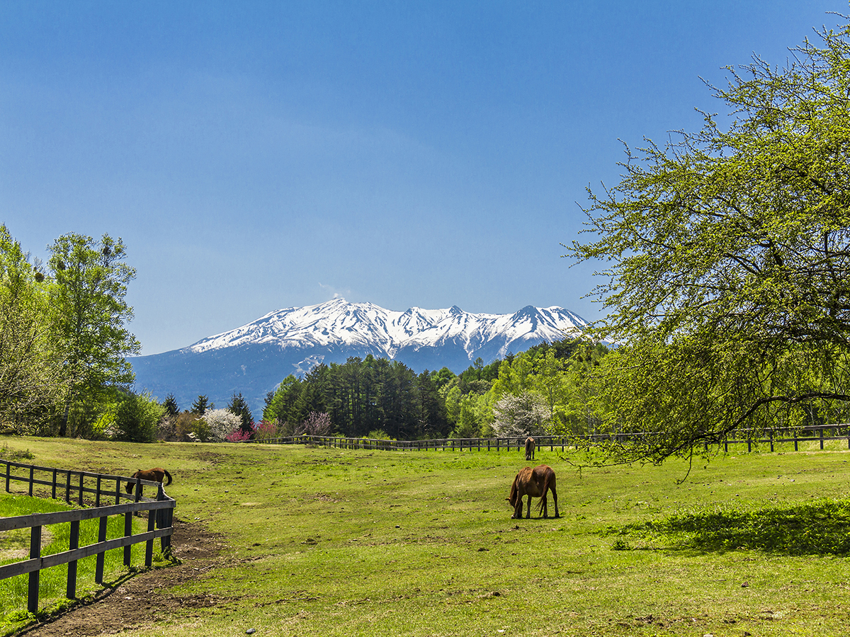 御嶽山を望む開田高原の風景