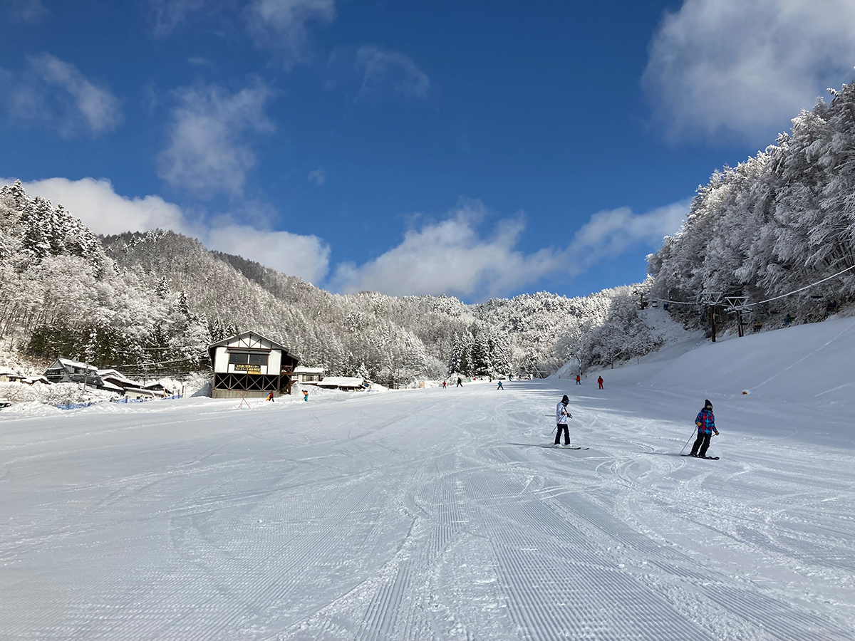 樹氷の山に囲まれたゲレンデを滑るスキーヤーたち