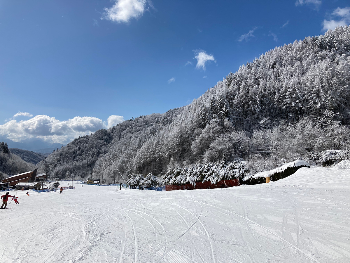 雪化粧した山肌と青空の下に広がるゲレンデ